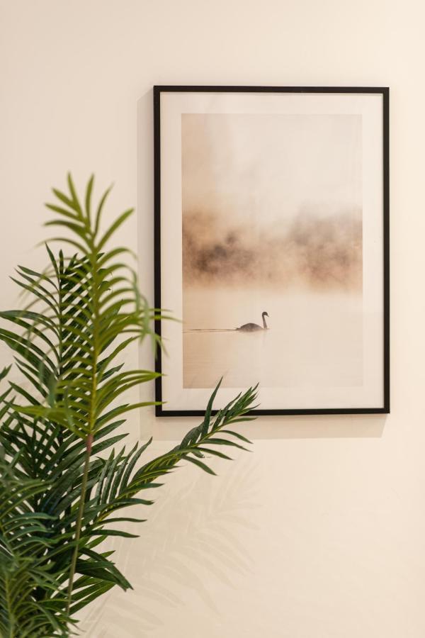 Luz - Appartement Hyper Centre Saint-Etienne 外观 照片